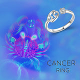 925 Sterling Silver Zodiac Sign Rings 12 Constellation Adjustable Ring Zodiac Jewelry Gift for Women
